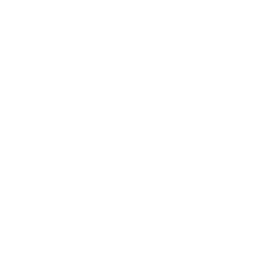 Consejo Nacional de Salud